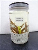 鹿兒島水珍魚藏品圖，第2張